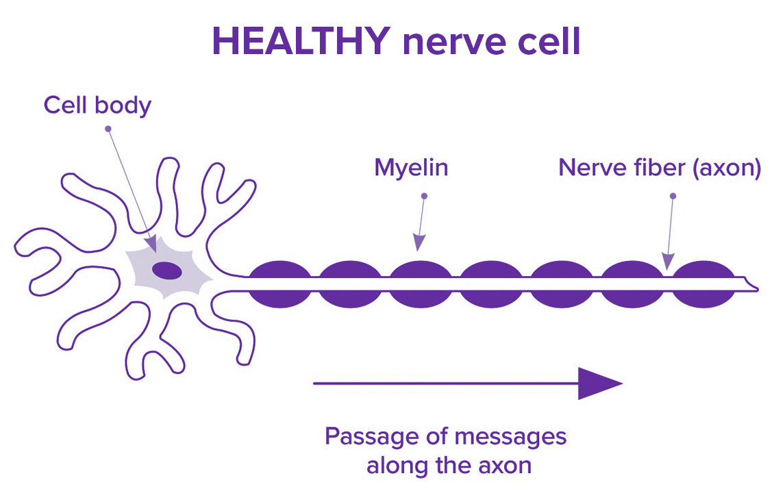 Healthy nerves Icon